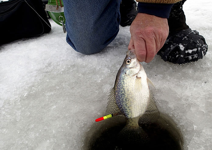 What is the Best Way to Fish Crappies during Winter Time